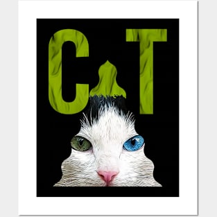 CAT - 18 Posters and Art